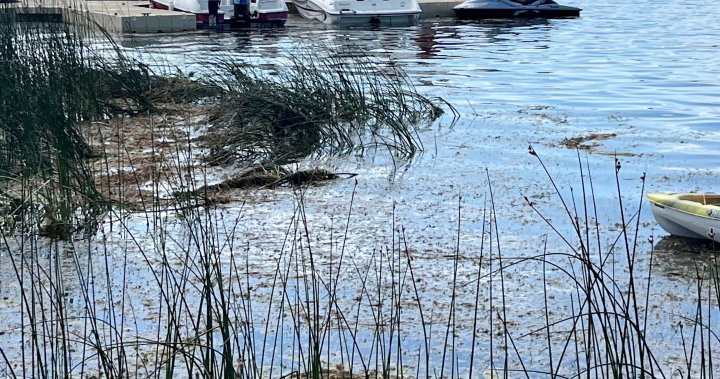 Wabamun Gölü'nde teknenin alabora olması sonucu bir kişi öldü - Edmonton |  Globalnews.ca
