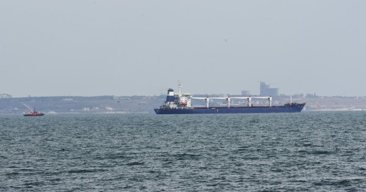 Ukraine wants to extend safe shipping passage agreement beyond grain