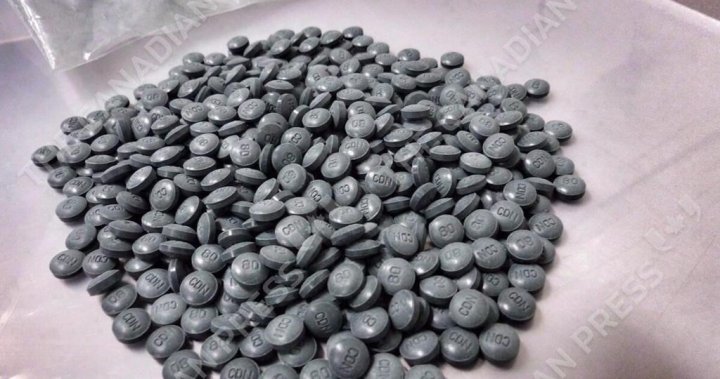 Sask. RCMP предупреждава за резистентен на налоксон фентанил в южната част на провинцията