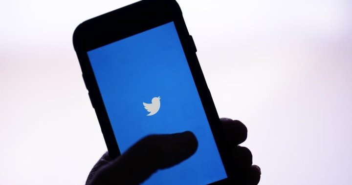 Twitter admits breach that exposed account owners worldwide