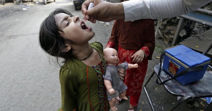 Spread of polio virus in U.S., U.K. and Israel reveals rare risk of oral vaccine
