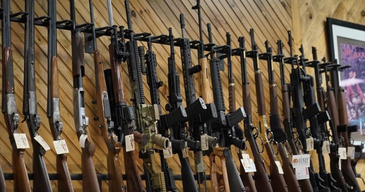 Saskatchewan leaders praise Liberal decision to drop gun law reform legislation