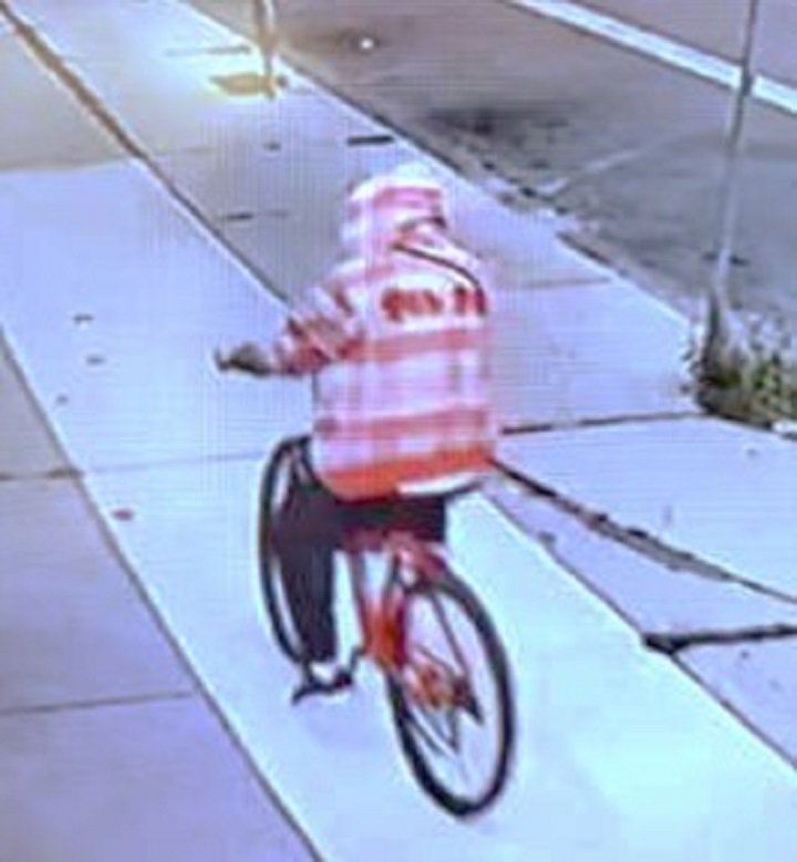 Police say Kevin Grey was seen riding a bicycle during an alleged break and enter incident.