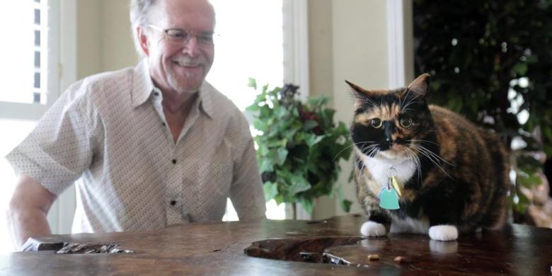 Heroic 'guard cat' credited with saving owner from armed robbers