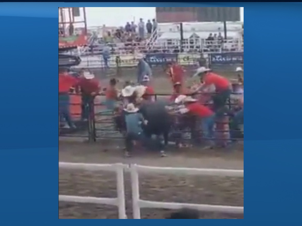 UCP Candidate Leela Aheer can be seen in this video wearing a white cowboy hat, pushing away a bull during the 2022 Strathmore Stampede.