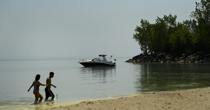 4 Toronto beaches deemed unsafe to swim at amid high E. coli levels