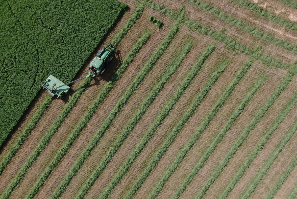 In this photo taken using a drone, a tractor is seen working a farm field in Manotick, Ontario on Thursday, July 13, 2022.  THE CANADIAN PRESS/Adrian Wyld.
