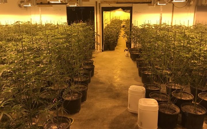 Charges are pending against several different people after Edmonton police officers raided a warehouse and several homes last month, seizing over $3.3 million worth of cannabis products they allege were part of an unlicensed retail operation.