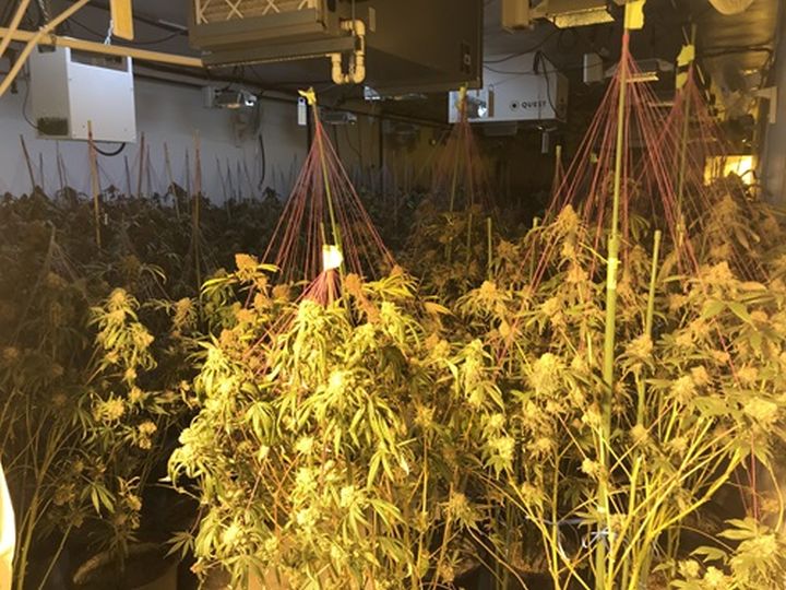 Charges are pending against several different people after Edmonton police officers raided a warehouse and several homes last month, seizing over $3.3 million worth of cannabis products they allege were part of an unlicensed retail operation.