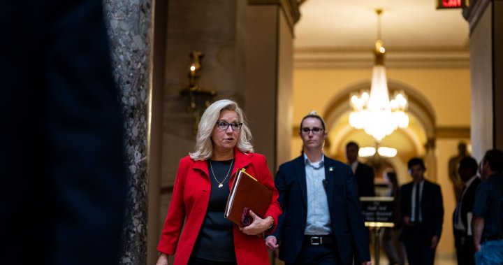 Liz Cheney fighting to save seat as Trump tested in Wyoming and Alaska