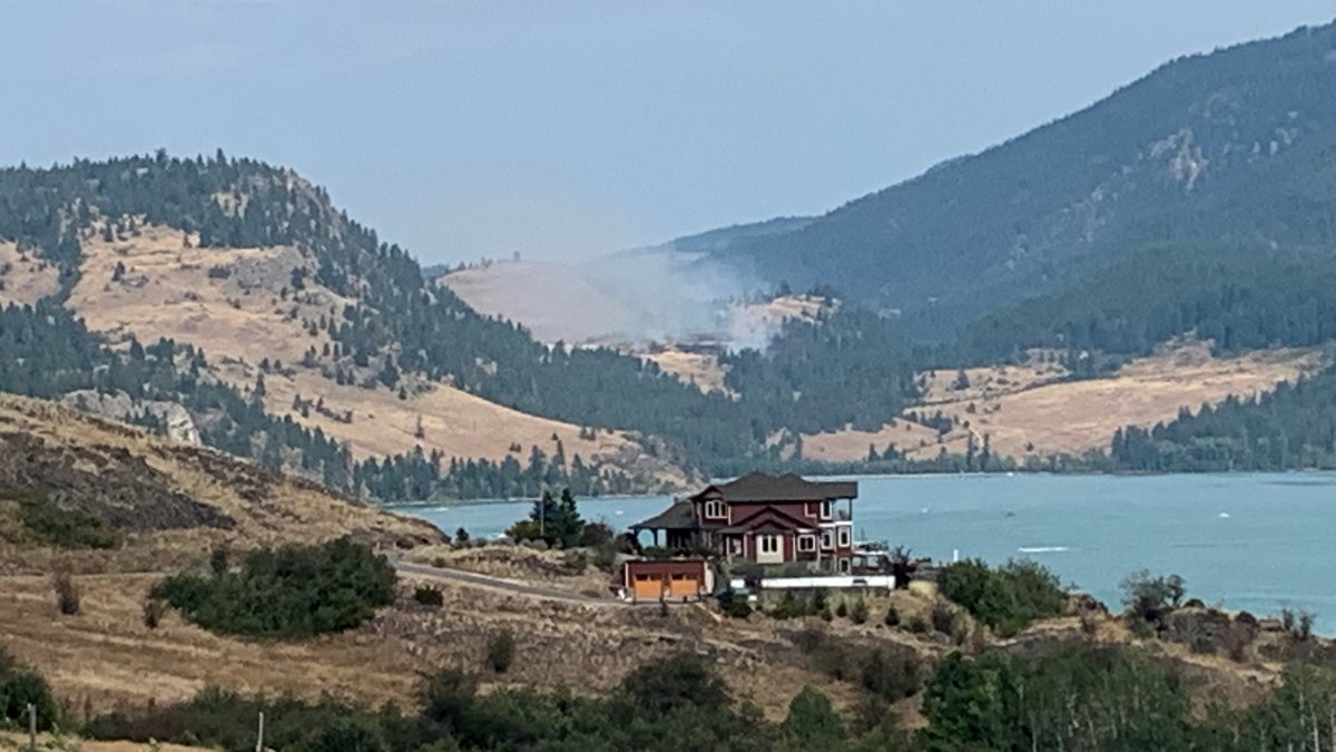 The BC Wildfire Service says the Cosens Creek wildfire is located eight kilometres southeast of Vernon, and within Kalamalka Lake Park.