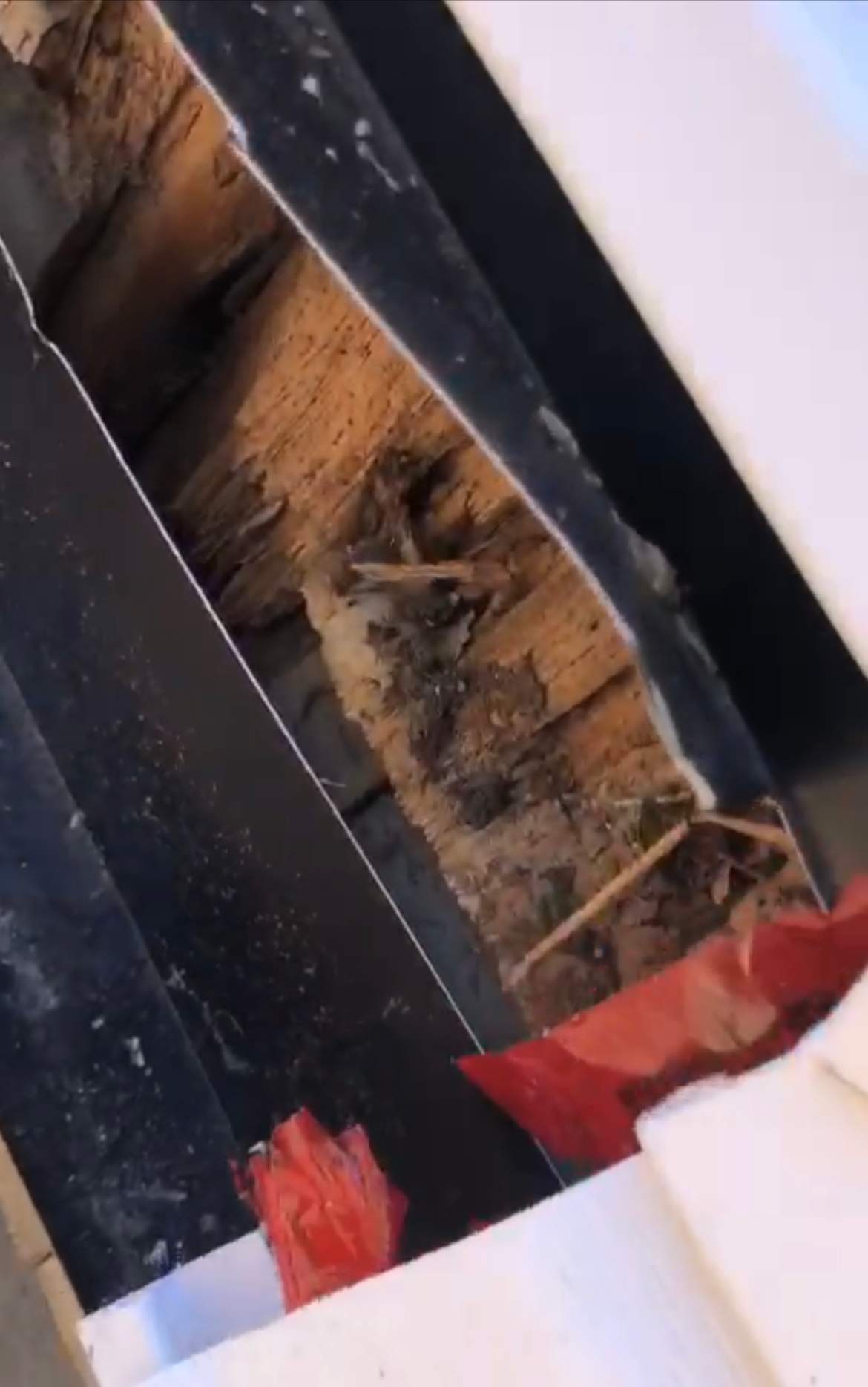Ranjbar said the deck was structurally unsafe due to rot.
