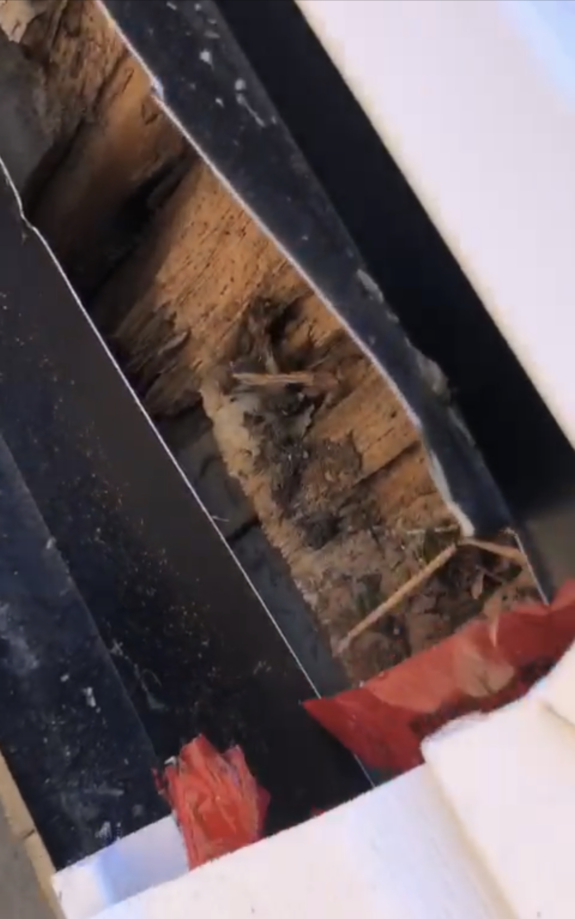 Ranjbar said the deck was structurally unsafe due to rot.