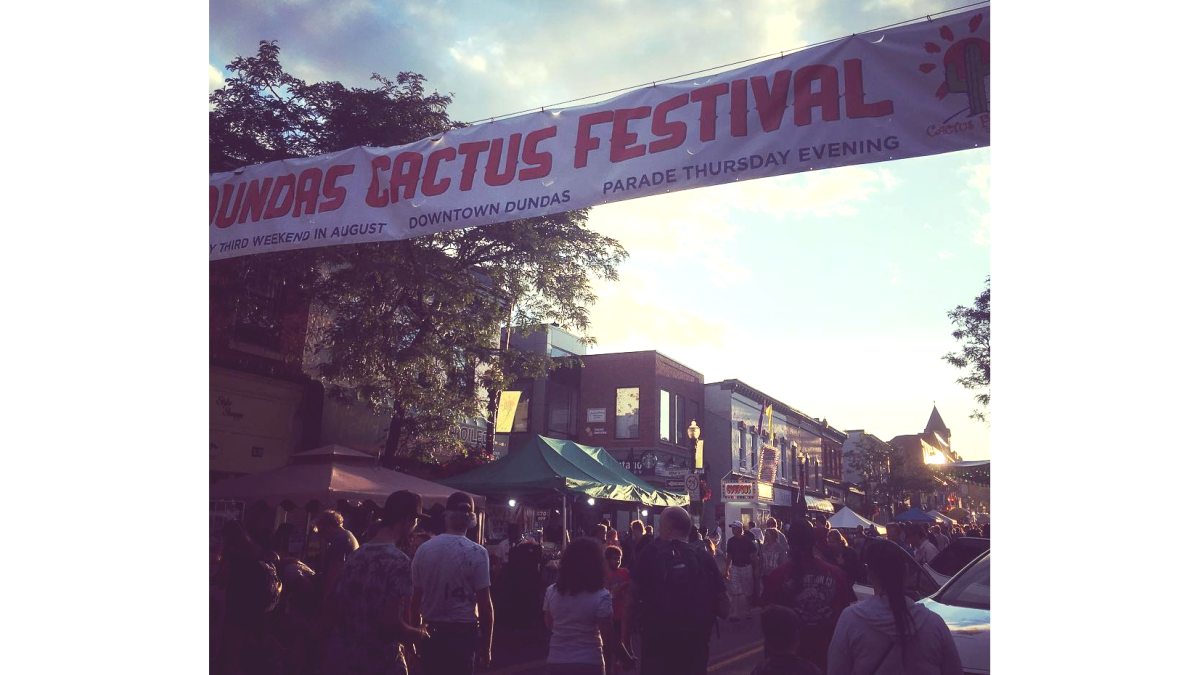 The Dundas Cactus Festival is set to return to a full format on Aug. 19 following two years of scaled down events.