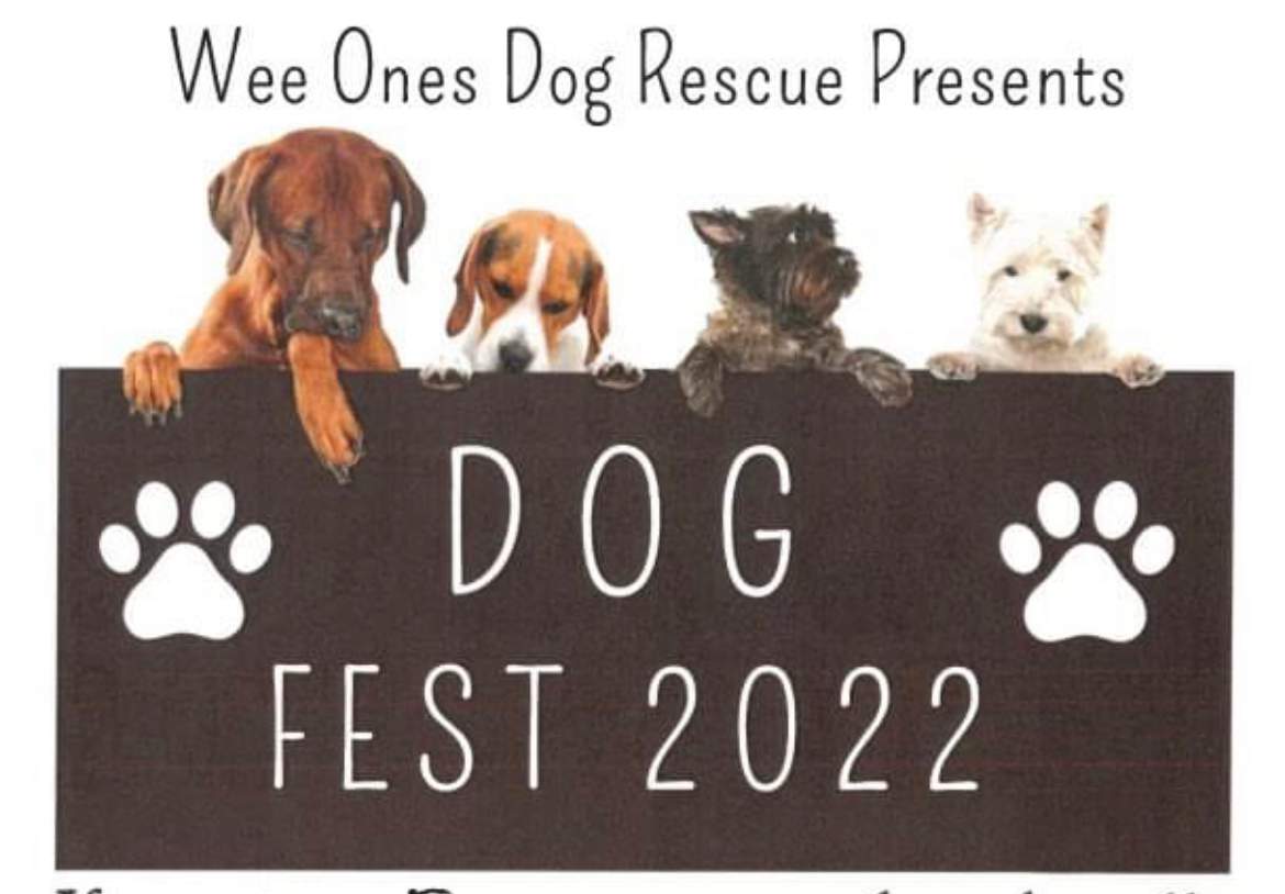 DogFest2022 - image