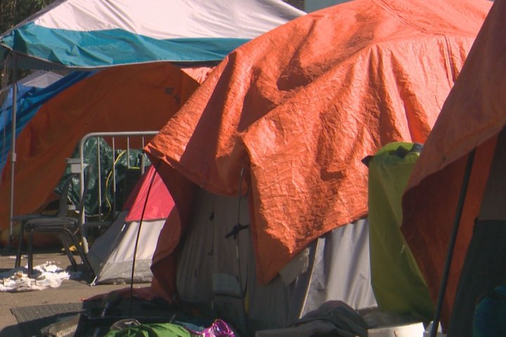 Edmonton to assess, offer Shigella treatment to people living in encampments