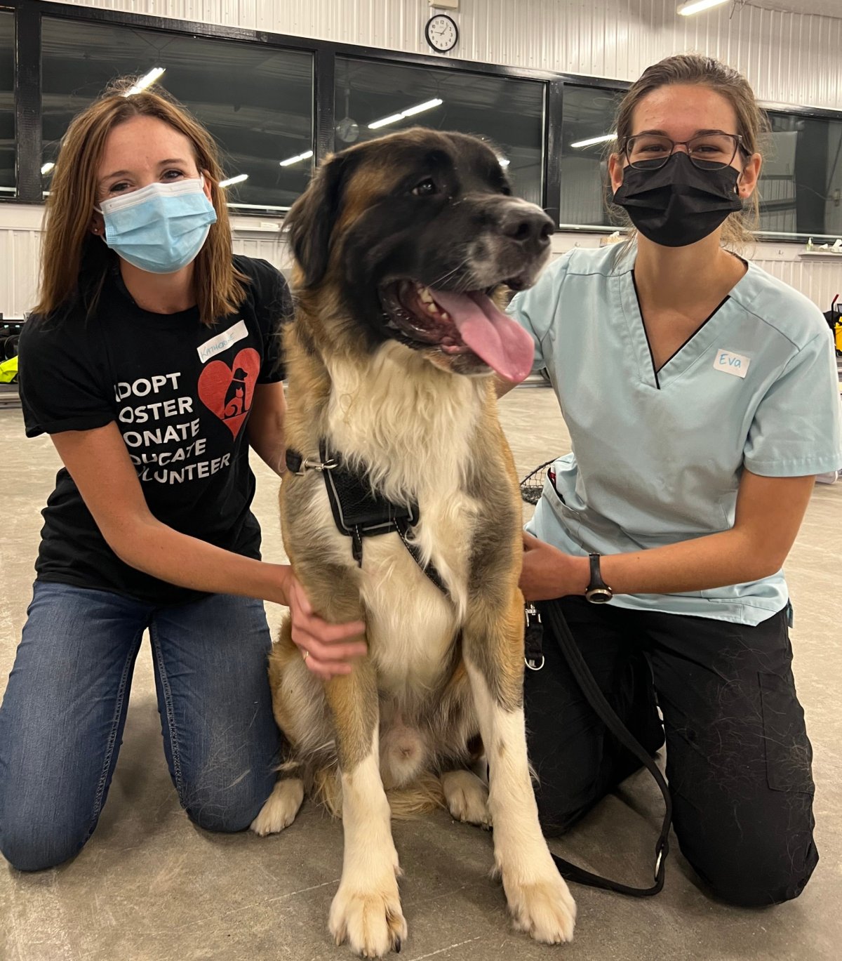 Guelph Humane Society/Ontario Veterinary College pop-up clinic patient Bear, with GHS community programs and outreach co-ordinator Katherine and volunteer Eva.