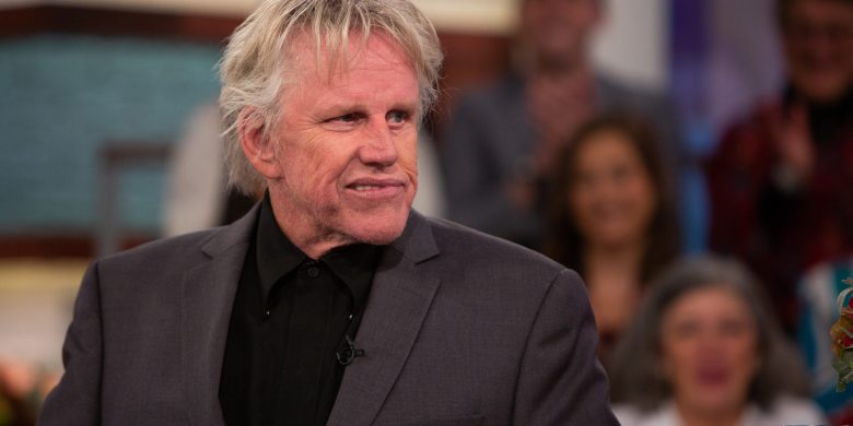 Gary Busey faces sex offence charges after horror convention appearance