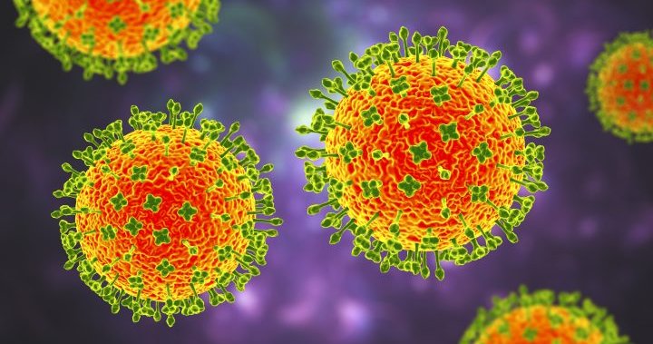 New Langya virus detected in China. Here’s what we know so far