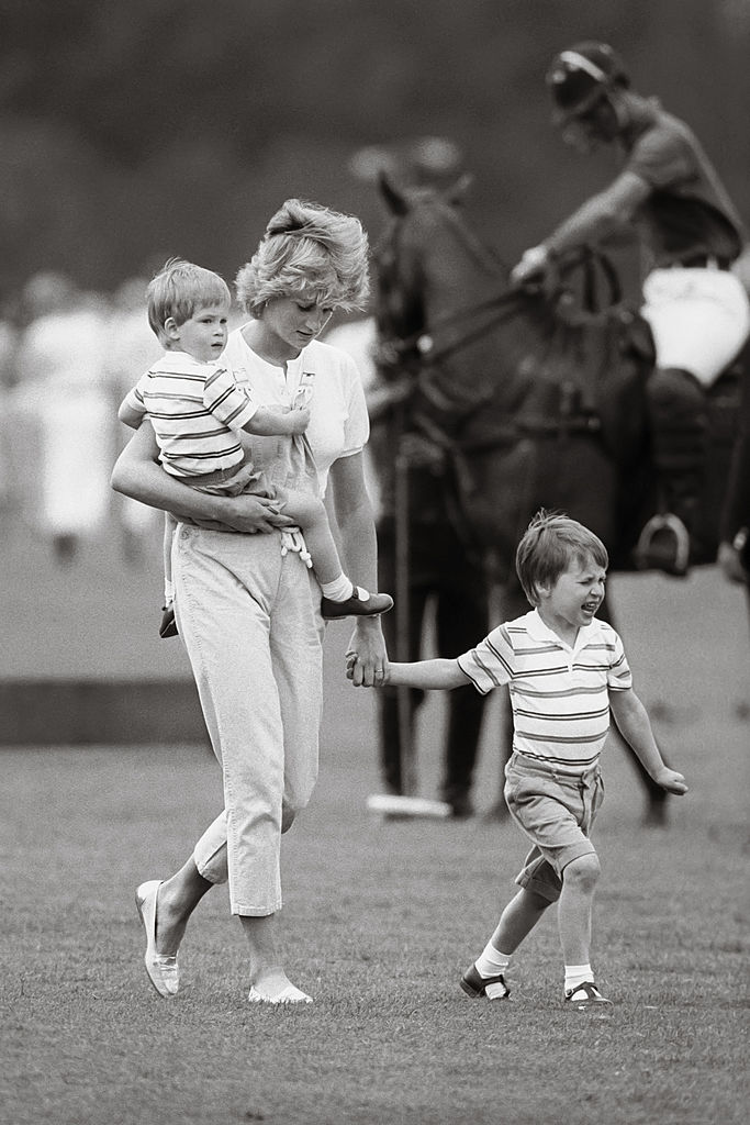 Diana, The Princess Of Wales, and Prince William and Prince Harry, at a polo match.