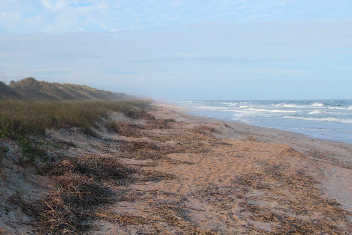Sand dunes in Guana Tolomato Matanzas in Florida.