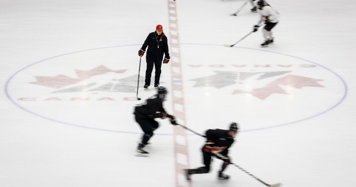 Hockey Canada devrait penser au-delà du monde du hockey pour diversifier son nouveau conseil d’administration, selon des experts – National