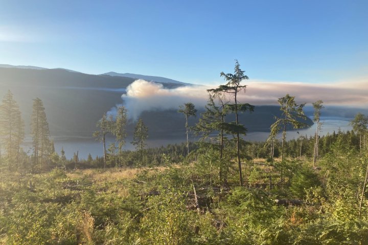 New wildfire reported in B.C.’s North Shuswap region, BC Wildfire Service says