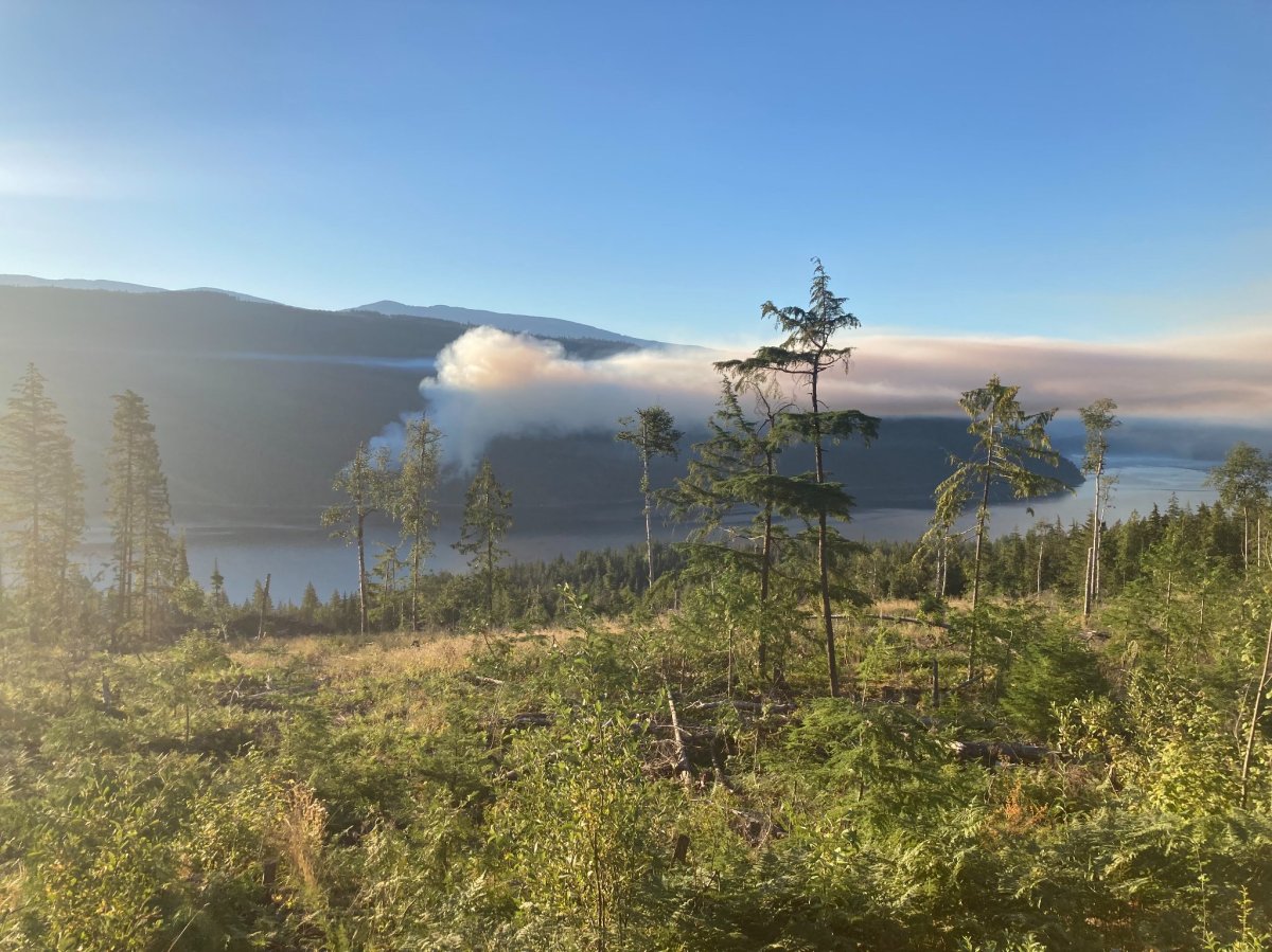 Smoke rises from a new wildfire burning near the east shores of Seymour Arm of Shuswap Lake.