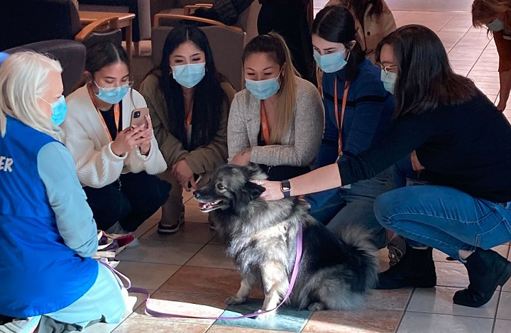 A new partnership at BC Children’s Hospital in Vancouver will see therapy dogs visit to promote mental wellness among healthcare staff.