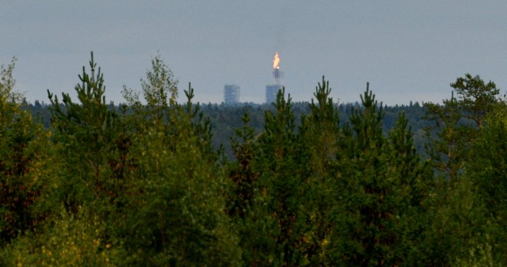 Russia burning gas into atmosphere as it scales back Europe supply