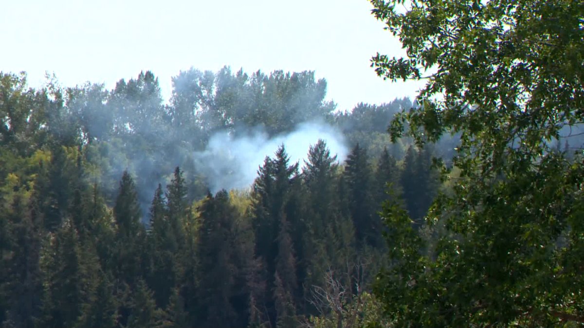 Calgary fire crews fought to put out a brush fire near Douglas Fir Trail, a hiking trail on the south side of the Bow River.