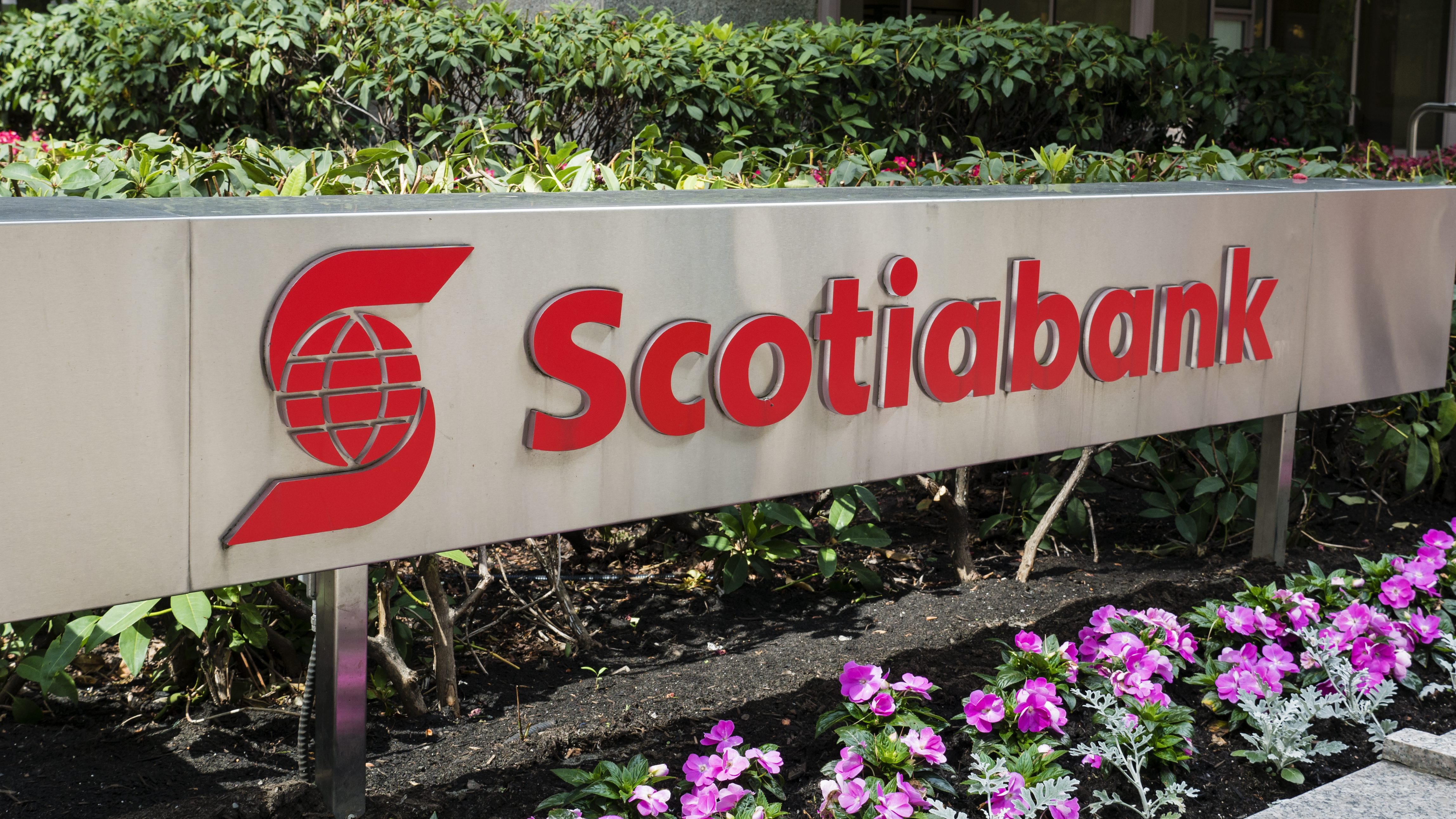 Scotiabank Reports Q3 Profit Of $2.59B, Up From $2.54B In The Same ...