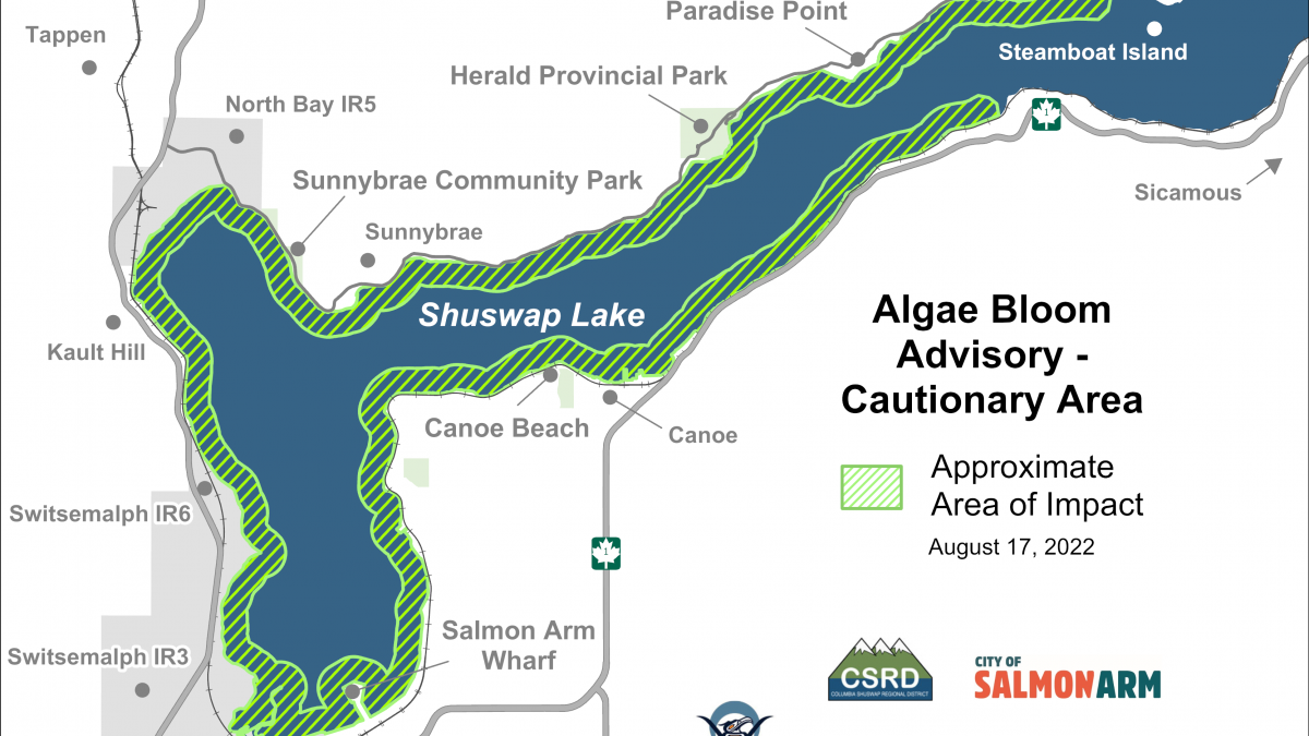 The regional district says the algae bloom is in the Salmon Arm portion of Shuswap Lake (from Steamboat Island to Tappen Bay and Salmon Arm wharf, including Sunnybrae, Canoe Beach and Herald Provincial Park).