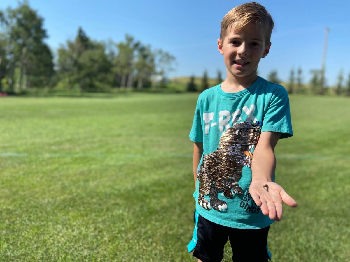 Max Maurizio holding the tooth of an extinct Scapanorhynchus shark at his home in Red Deer County on Friday, August 12, 2022.