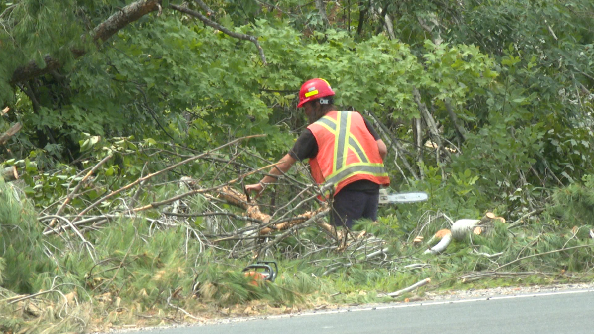 The Municipality of Tweed is still under a state of emergency after a tornado touched down in the region last week.