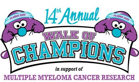 14th Annual Walk of Champions - image