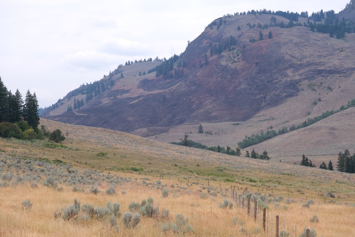Through crowdfunding and government help, the non-profit society says 65 hectares of privately owned property in the South Okanagan will now be part of the White Lake Basin Biodiversity Ranch.