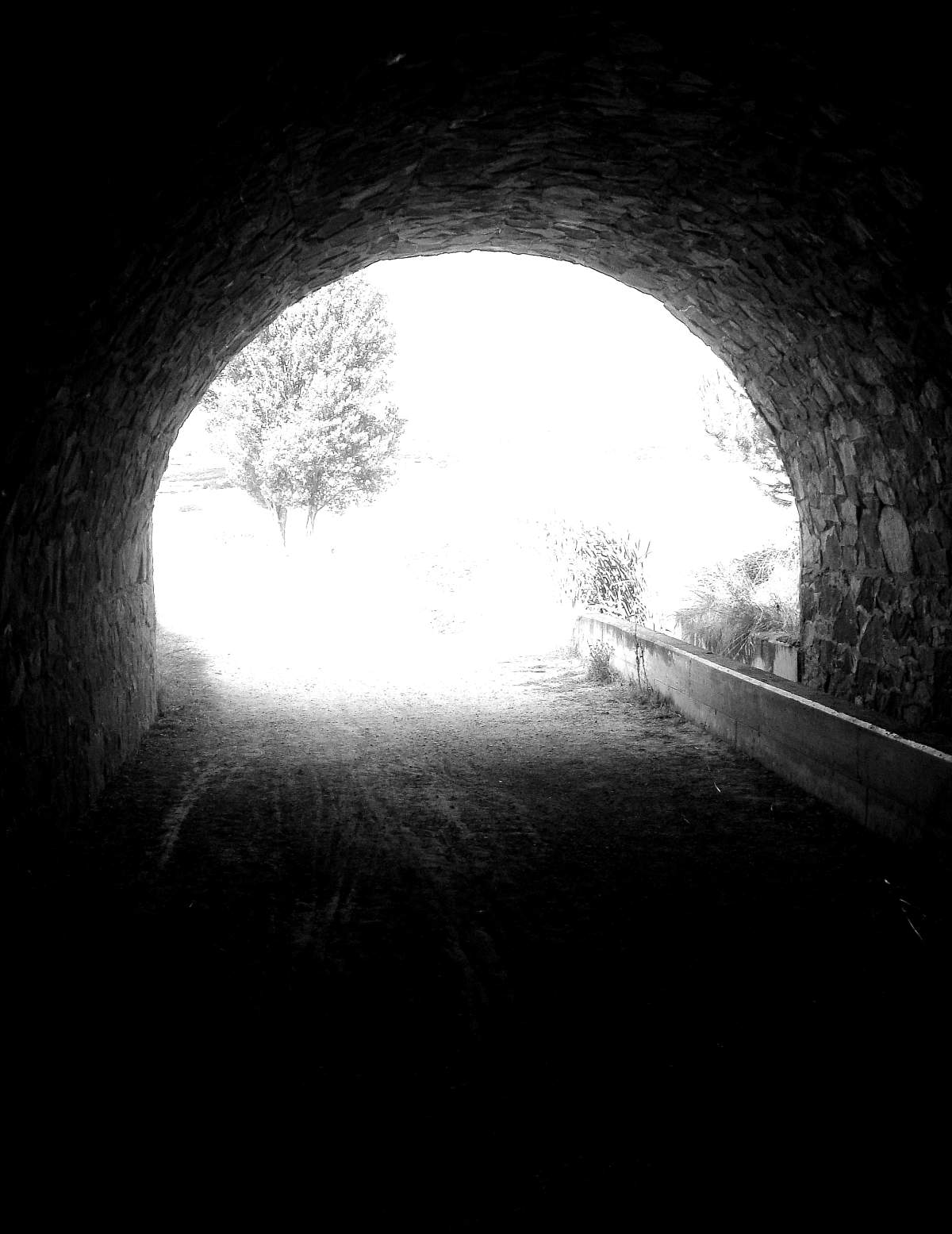 Working Hypothesis - image