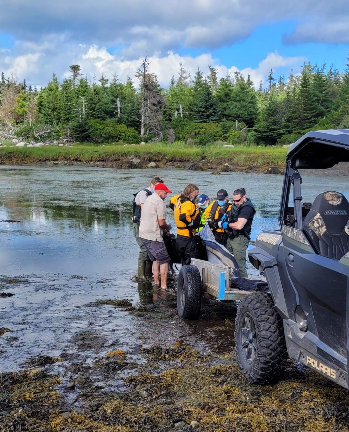 MARS Responders, volunteers, and the Shelburne C&P Detachment team carefully lifting a dolphin onto the trailer for relocation.