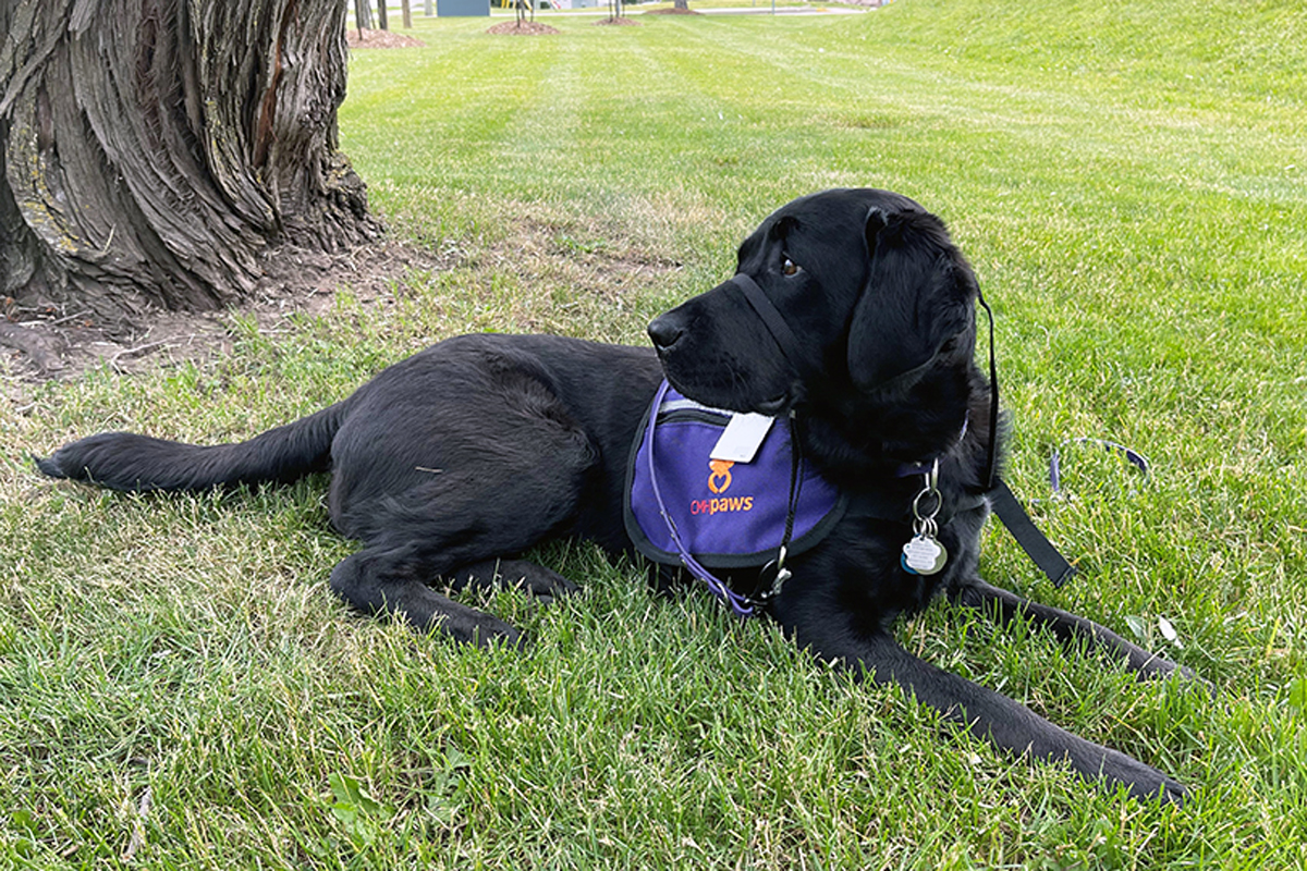 Cambridge Memorial Hospital says that after a two-month evaluation period, Ember has joined its team permanently.