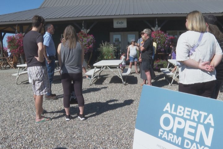 Lethbridge Farms celebrate Alberta Open Farm Days
