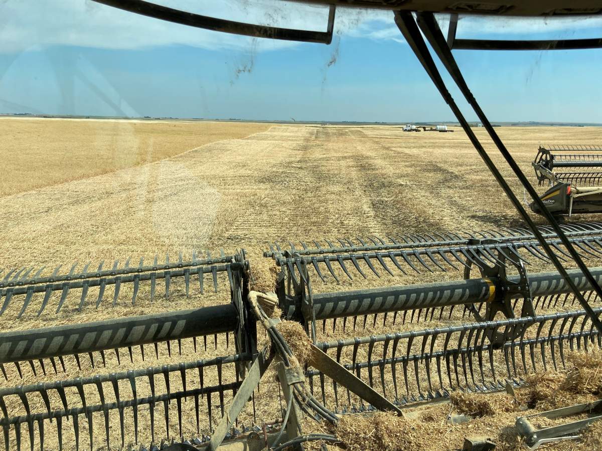 View from Leroy Newman’s combine.