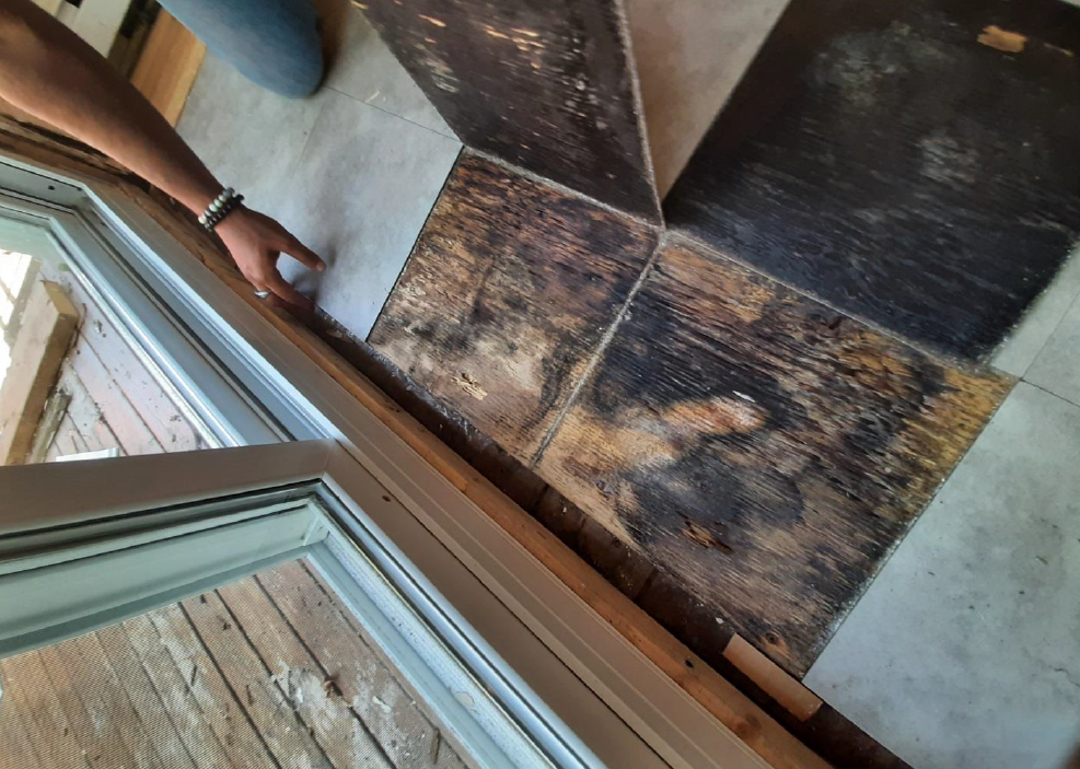 Ranjbar said Gomez’s floors are damaged by mould.