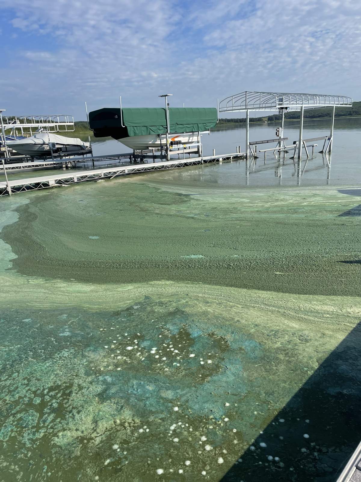 Blue-green algae at Garner Lake, Alta., July 16, 2022.