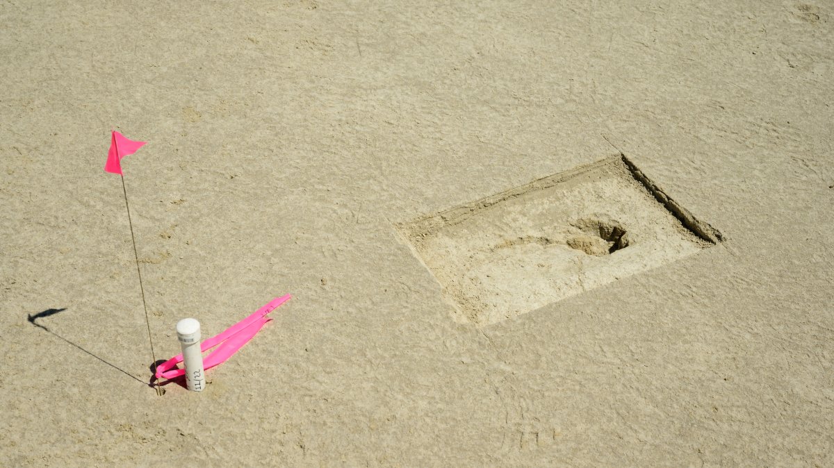 A footprint discovered on an archaeological site is marked with a pin flag on the Utah Test and Training Range, July 18, 2022.