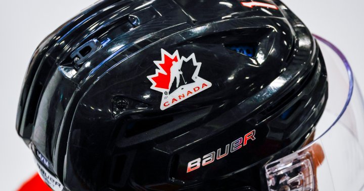 Hockey Canada put 65% of player insurance fees into controversial National Equity Fund