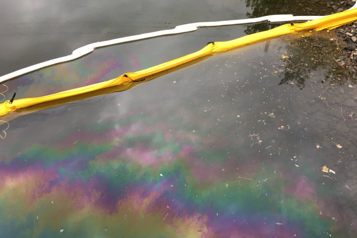 Cleanup continues for ‘fuel oil’ spill in Jackson Creek near Little Lake in Peterborough