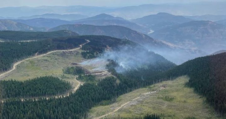 Keremeos Creek wildfire grows by 100-hectares due to wind, planned ignitions