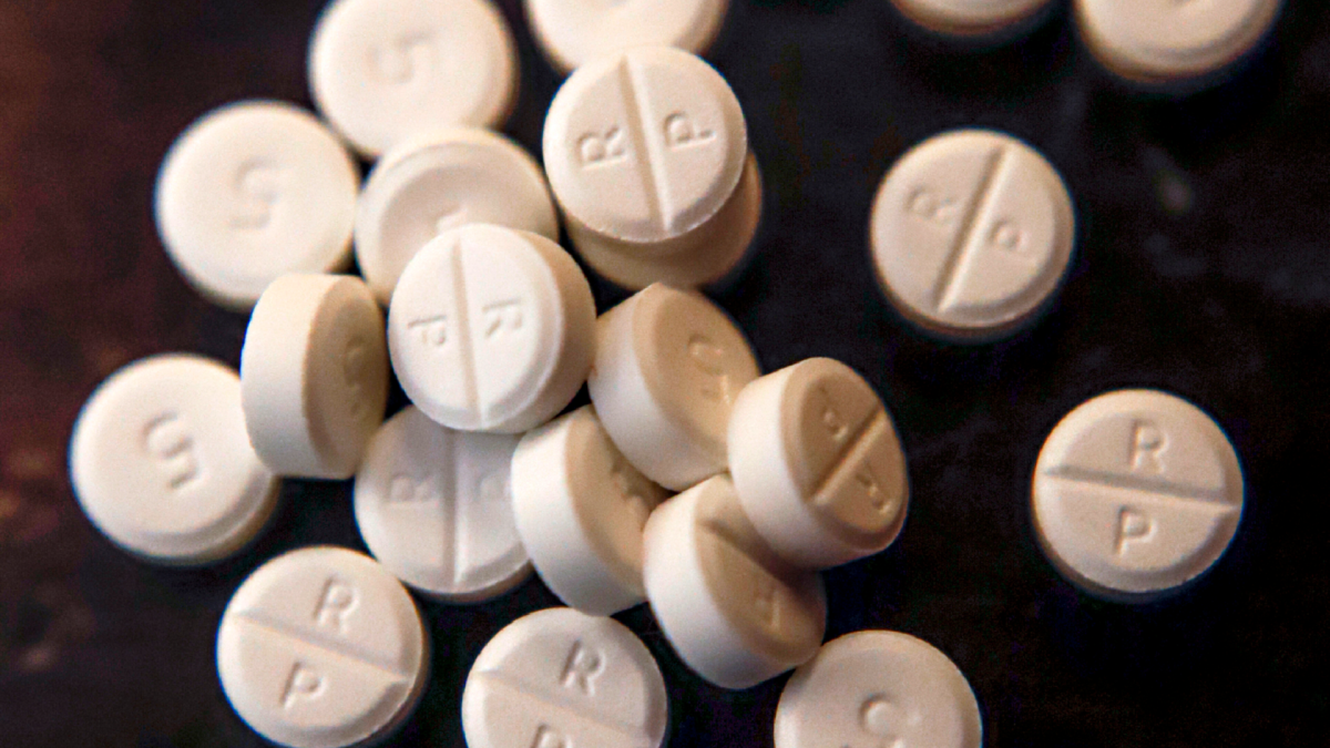 This file photo shows 5-mg pills of the opioid Oxycodone.