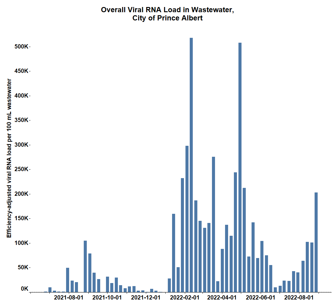 COVID-19: Saskatchewan cities reach highest wastewater viral loads in nearly 4 months - image